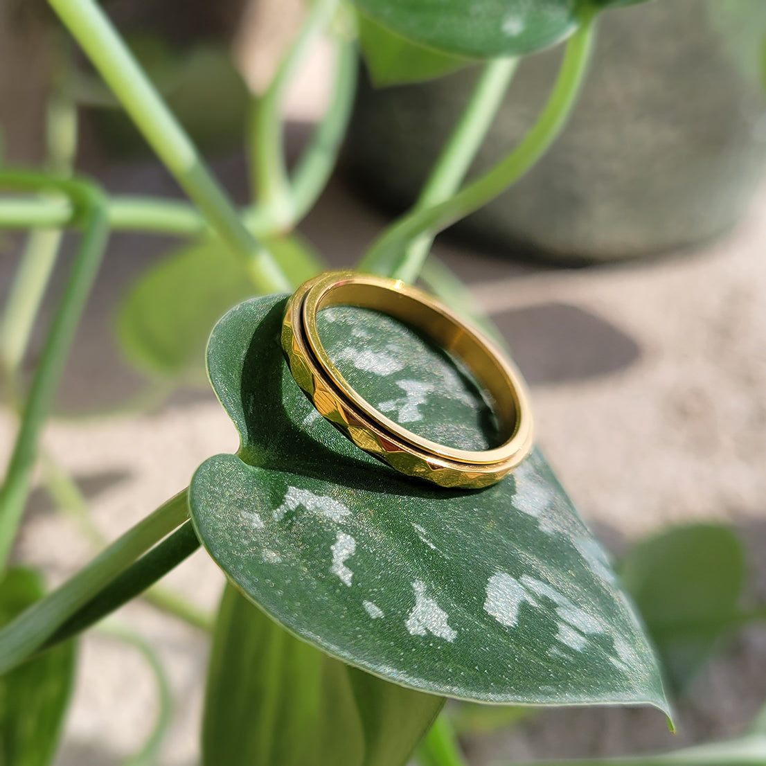 Nadia – Anillo Fidget Giratorio de Banda Martillada Delicada