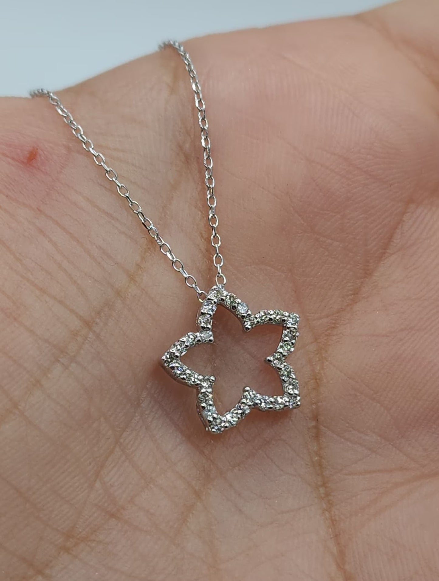 Collar Flor Estrella Abierta Plata