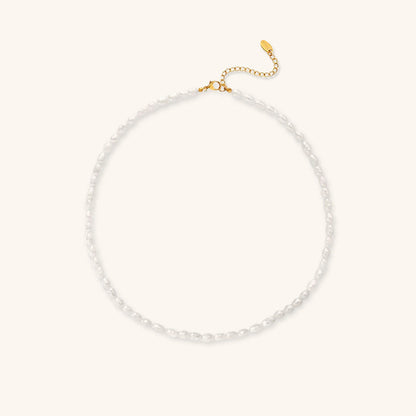 Avaria - Collar Choker de Perlas de Agua Dulce
