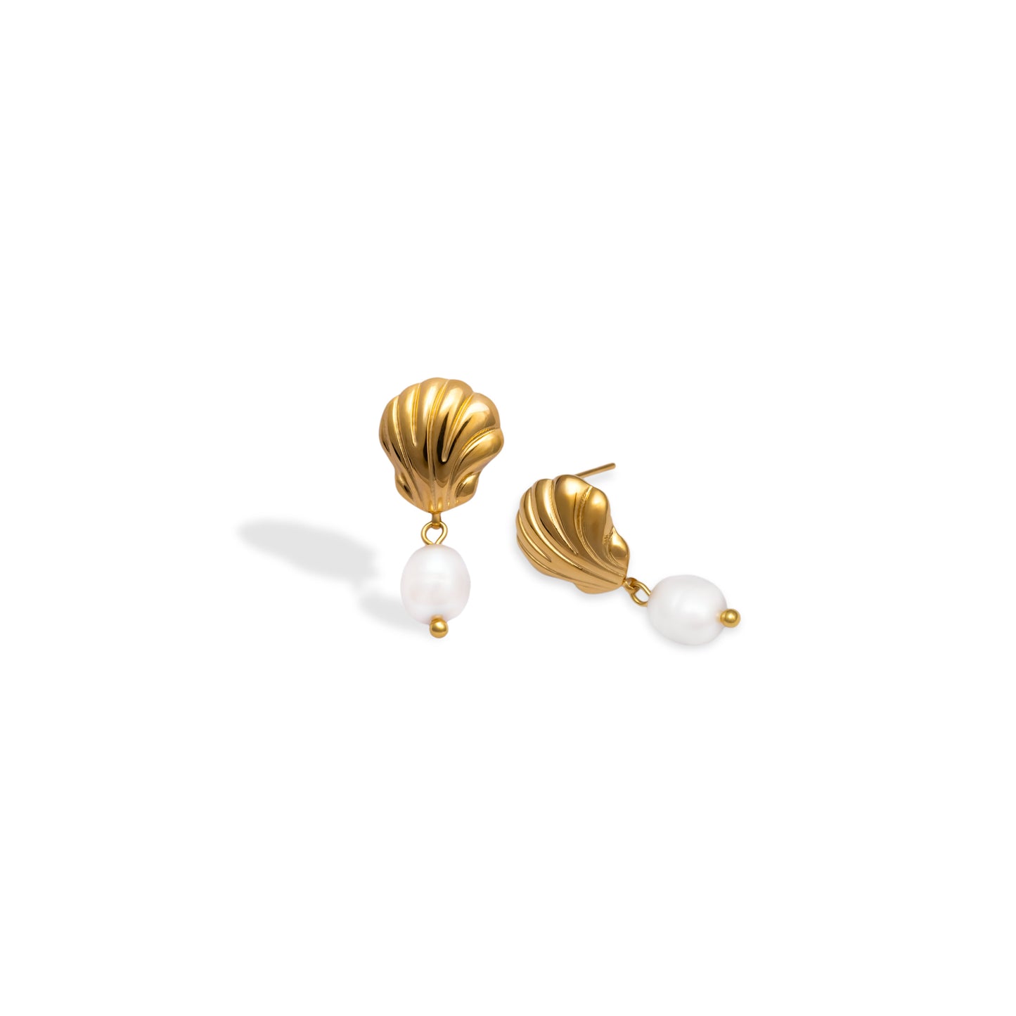 Kathryn – Pendientes Concha Elegantes
