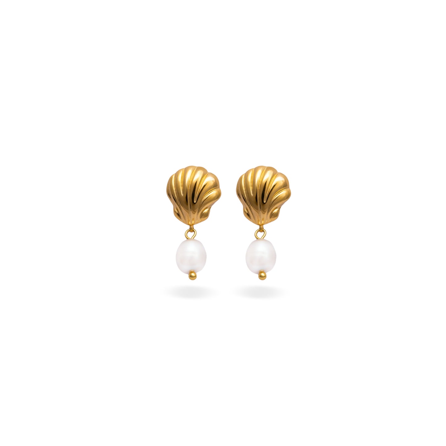 Kathryn – Pendientes Concha Elegantes