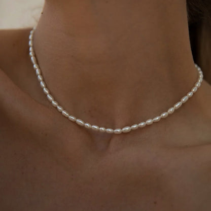 Avaria - Collar Choker de Perlas de Agua Dulce