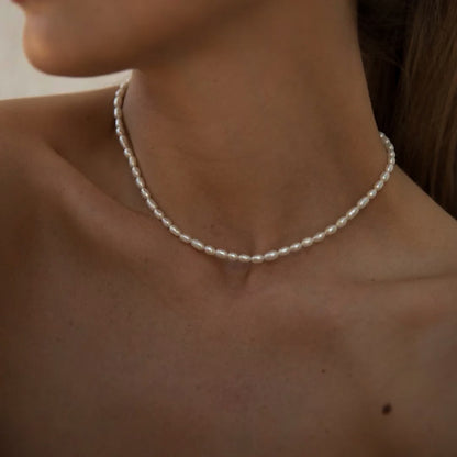 Avaria - Collar Choker de Perlas de Agua Dulce