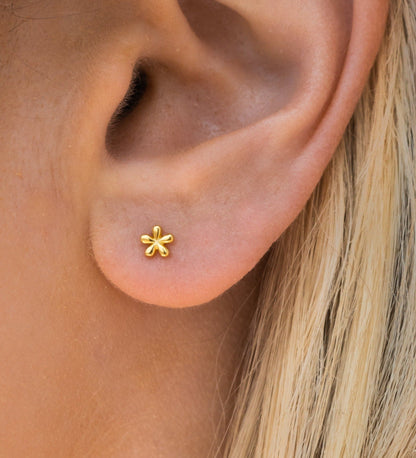 Monica - Mini Flores Pendientes