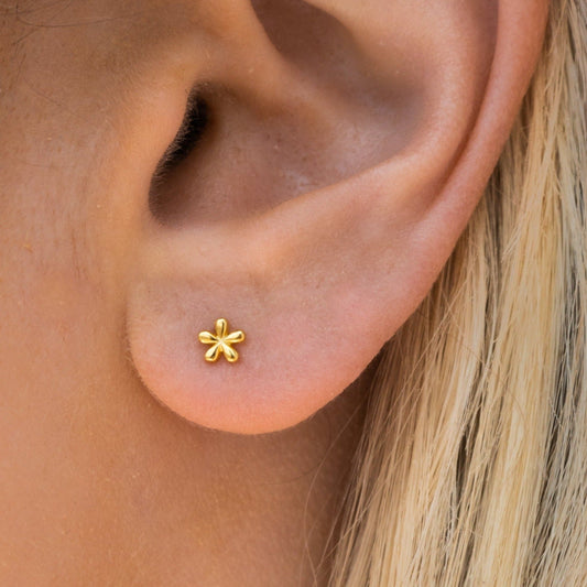 Lily – Pendientes Pequeños de Oro