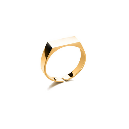 Dario – Anillo de Acero Inoxidable Brillante