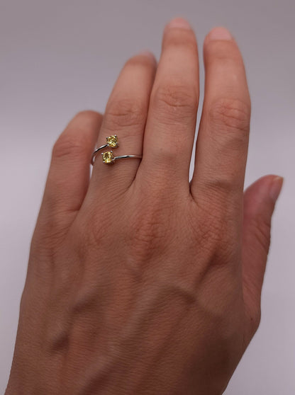 Anillo de 2 piedras