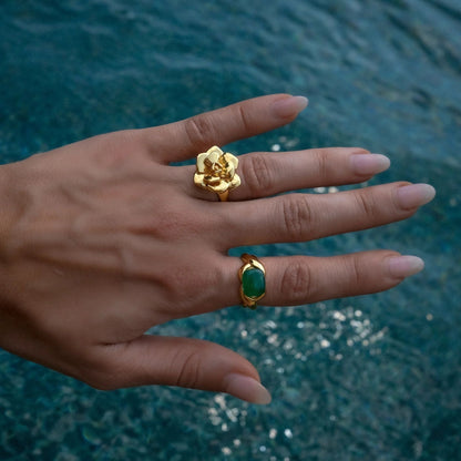 Georgia – Anillo de Acero Inoxidable Diseño Moderno