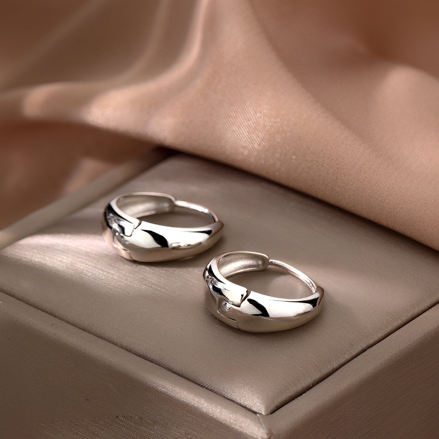 Andy – Pendientes Plateados Estilo Frost