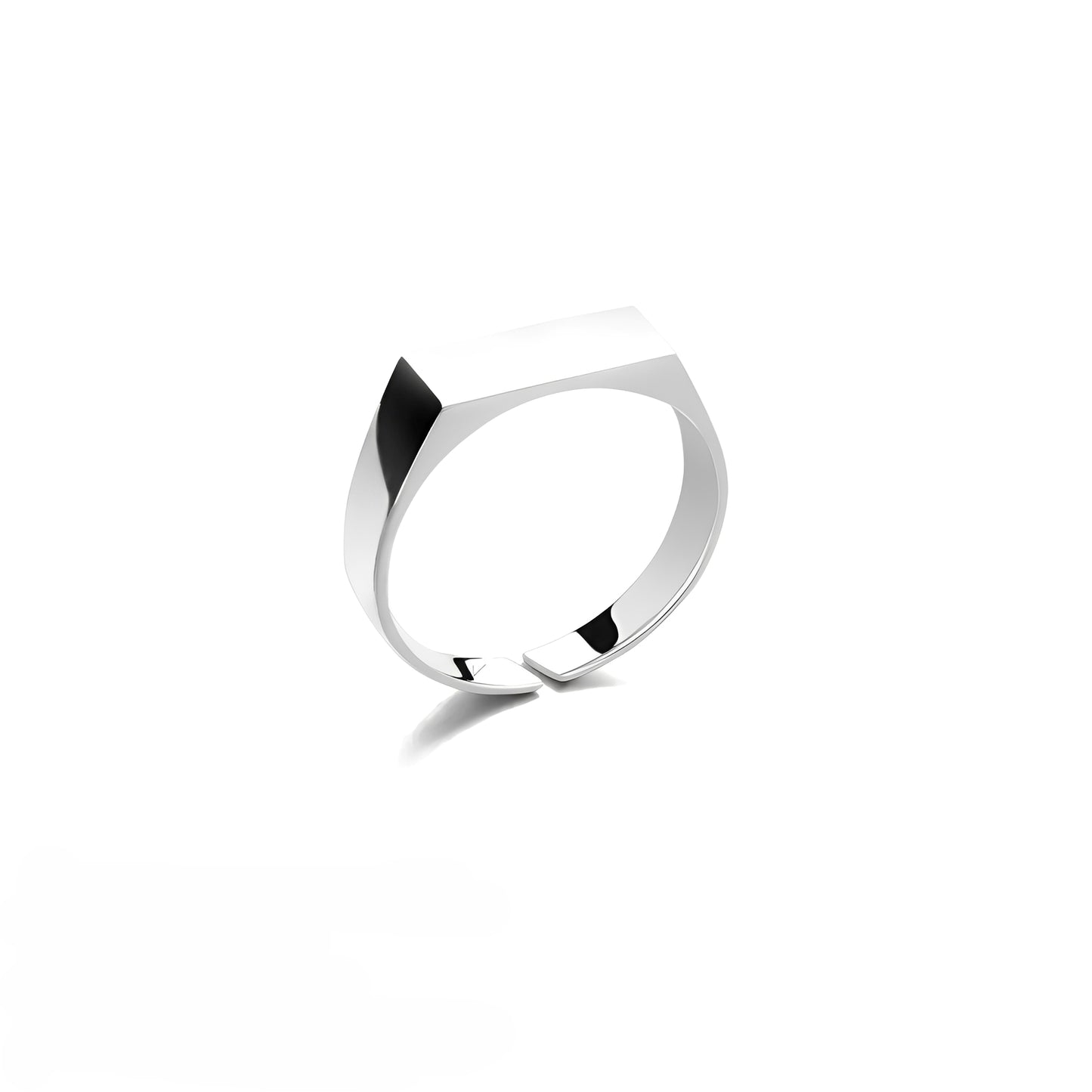 Dario – Anillo de Acero Inoxidable Brillante