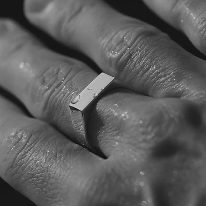 Dario – Anillo de Acero Inoxidable Brillante