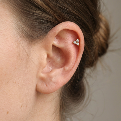 Whitney – Labret Cluster Trilogía en Cristales