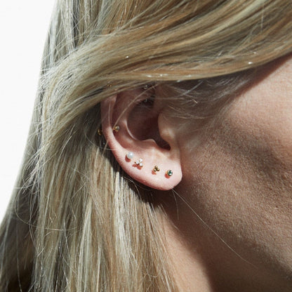 Whitney – Labret Cluster Trilogía en Cristales